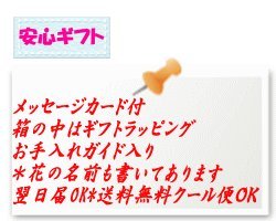 Cover image : 送料無料中*シックな紫バラバスケットフラワーアレンジメント【お届け日指定下さい翌日届可】誕生日記念日お見舞いフラワーバスケットアレンジメント