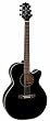 Takamine EG481SCX NEX Cutaway Acoustic-Electric Guitar w/ Biker Motif