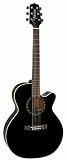 Takamine EG481SCX NEX Cutaway Acoustic-Electric Guitar w/ Biker Motif