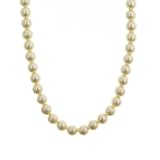 Princess Length Simulated Cream Pearl Strand