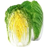 春の歌[白菜]【タネ】20ml