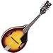 Dean Tennesse A Mandolin