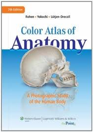 Color Atlas of Anatomy: A Photographic Study of the Human Body (Point (Lippincott Williams & Wilkins)) Seventh, North American Edition edition