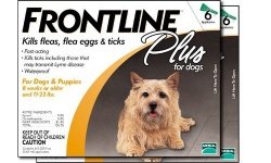 FRONTLINE PLUS for Dogs and Puppies - Up to 22 lbs - 12 month supply