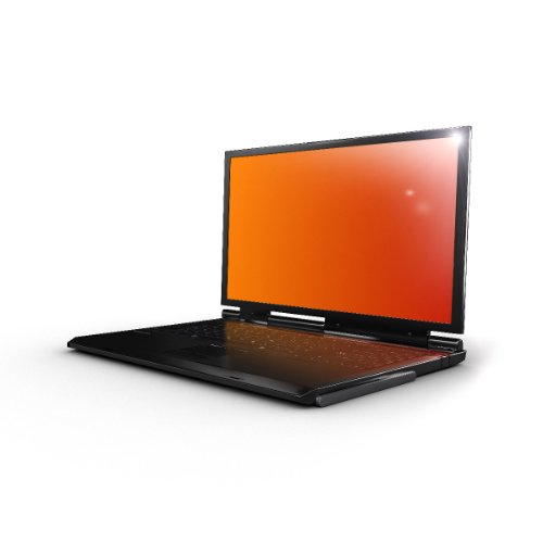 3M BG35.6W9 Vikuiti Privacy Bildschirmfilter bis 35,6 cm (14 Zoll) f&uuml;r Notebook/Monitor/LCD