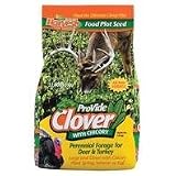 Pro-Vide Clover Chicory Forage, 4 Lb