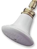 World Imports Elizabethan Classics SHPORPB All Porcelain Showerhead, Polished Brass