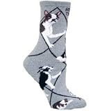 Boston Terrier Socks