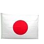 NationalCountryFlags Polyester 3-by-5-Feet Japanese Flag