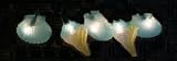 Conch & Scallop Seashell String Light Set of 10 Lights