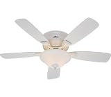 Hunter 23910 Low Profile Plus 48-Inch 5-Blade Single Light Ceiling Fan, White with Bleached Oak/White Blades and Frosted Glass Bowl