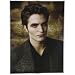 Twilight New Moon Edward Jigsaw Puzzle