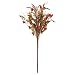 Benita Mountain Wild Flower Bundle