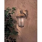 Minka Lavery Lights 8231-163-PL Small Wall Mount Energy Star Dark Sky Outdoor Lighting
