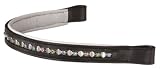 Browband w/Colored Jewels and Silver Accents