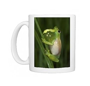 Hyperolius nasutus Sharp-nosed Reed Frog - male in calling behaviour Photo Mugs