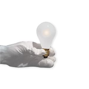 Magic Light Bulb (1 ct)