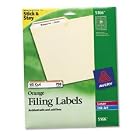 Avery 5166 Perm self-adhesive laser ink jet file folder labels, 750 pk, orange border by Avery
