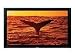 Pioneer 60 Plasma TV PDP607CMX