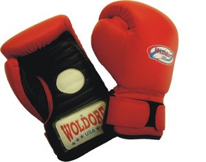 Trainer Focus Boxing Gloves