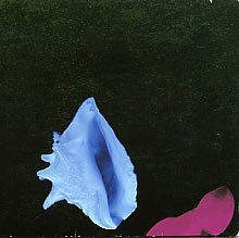 New Order Photo 6