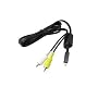 Nikon EG-CP14 Audio/Video Cable