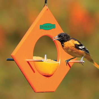 Duncraft Eco-Friendly Orange Fruit Feeder