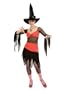 disc Wicked Witch of the East Adult Halloween Costume Size 10-14 Medium/Large (M/L)