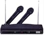 ZEBRA PROFESSIONAL WIRELESS MICROPHONE