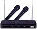 ZEBRA - Model: DM306 PROFESSIONAL WIRELESS MICROPHONE ( Home Electronics - Karaoke Equipment )