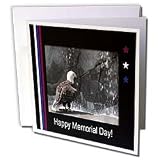 Beverly Turner Memorial Day Design - Memorial Day, Eagle by Waterfall - Greeting Cards-6 Greeting Cards with envelopes