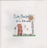 SHOOTING RUBBER BANDS AT THE STARS LP