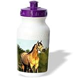 Horse - Quarter Horse - Water Bottles