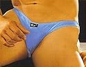 Shirley of Hollywood Quartz Mico fiber Spandex Brief with Low Cut Front