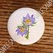 SOUTH DAKOTA PASQUE FLOWER FLOWERS DRAWER PULLS KNOBS