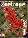 Search : Zoetrope All Story Vol. 3 No. 1