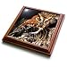 Owl - 8x8 Trivet With 6x6 Ceramic Tile