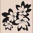 Black and White Flowers by Hero Arts