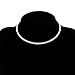 Fit&wit Bridal Wedding Jewelry Crystal Rhinestone Collar Choker Necklace Silver