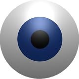 The Eye