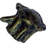 Sierra Lifestyles #SL-681347 Black Deer Antler Knob