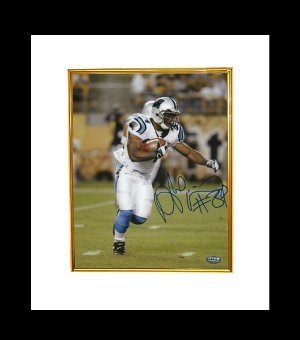 DeAngelo Williams Autographed/Hand Signed Carolina Panthers 8x10 Photo Custom Framed