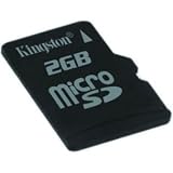 Kitchen & Housewares : 10X r. for Version 2 + 10 X 2GB Memory Card (Micro SD Card)