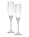 Reed & Barton Seasons of Like Toasting Flutes