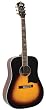 Recording King Century Jubilee Series Acoustic Dreadnaught Guitar (Spruce/Rosewood)