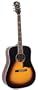 Recording King Century Jubilee Series Acoustic Dreadnaught Guitar (Spruce/Rosewood)
