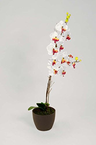 Moth Orchid Artificial Plant