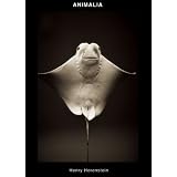 ANIMALIA