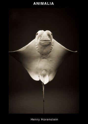 ANIMALIA
