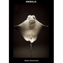 ANIMALIA
